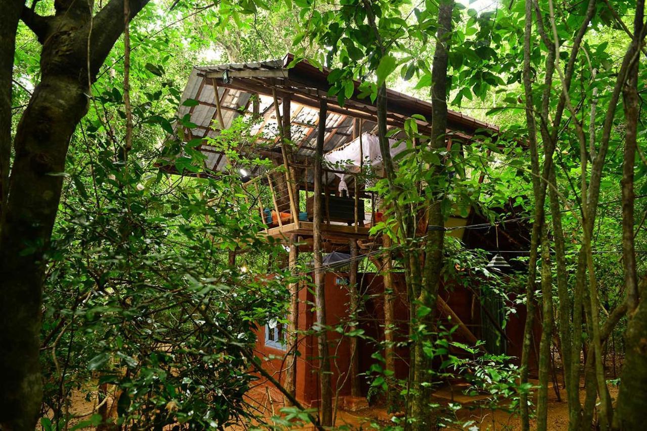 Cozy Tree House,1195295005:JPEG
